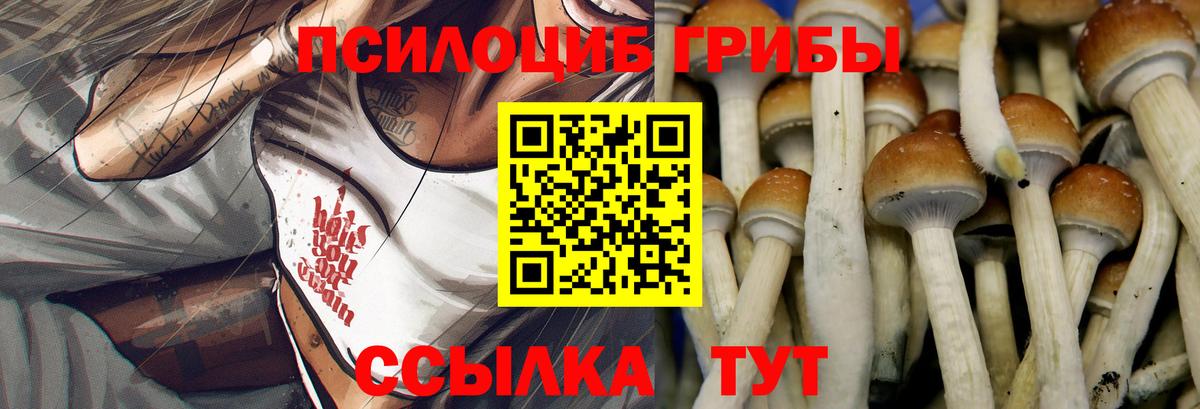 Галлюциногенные грибы прущие грибы  Вход с VPN  Ялта 