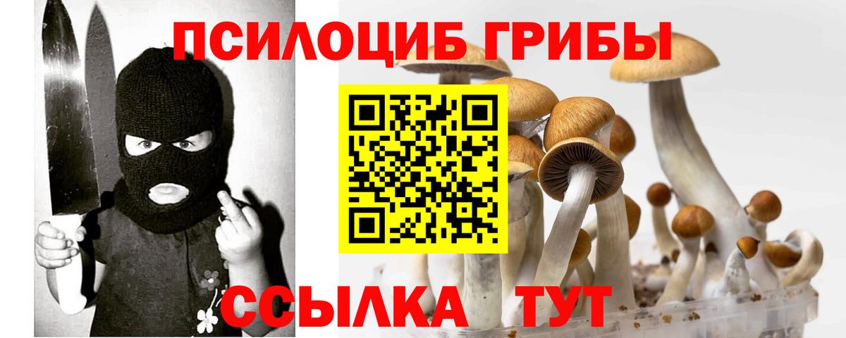 Галлюциногенные грибы Magic Shrooms Ялта